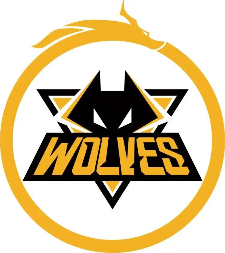 NAVI, Vitality , Mouz , 和 Spirit 收到 BLAST Open Fall 2025 的邀请